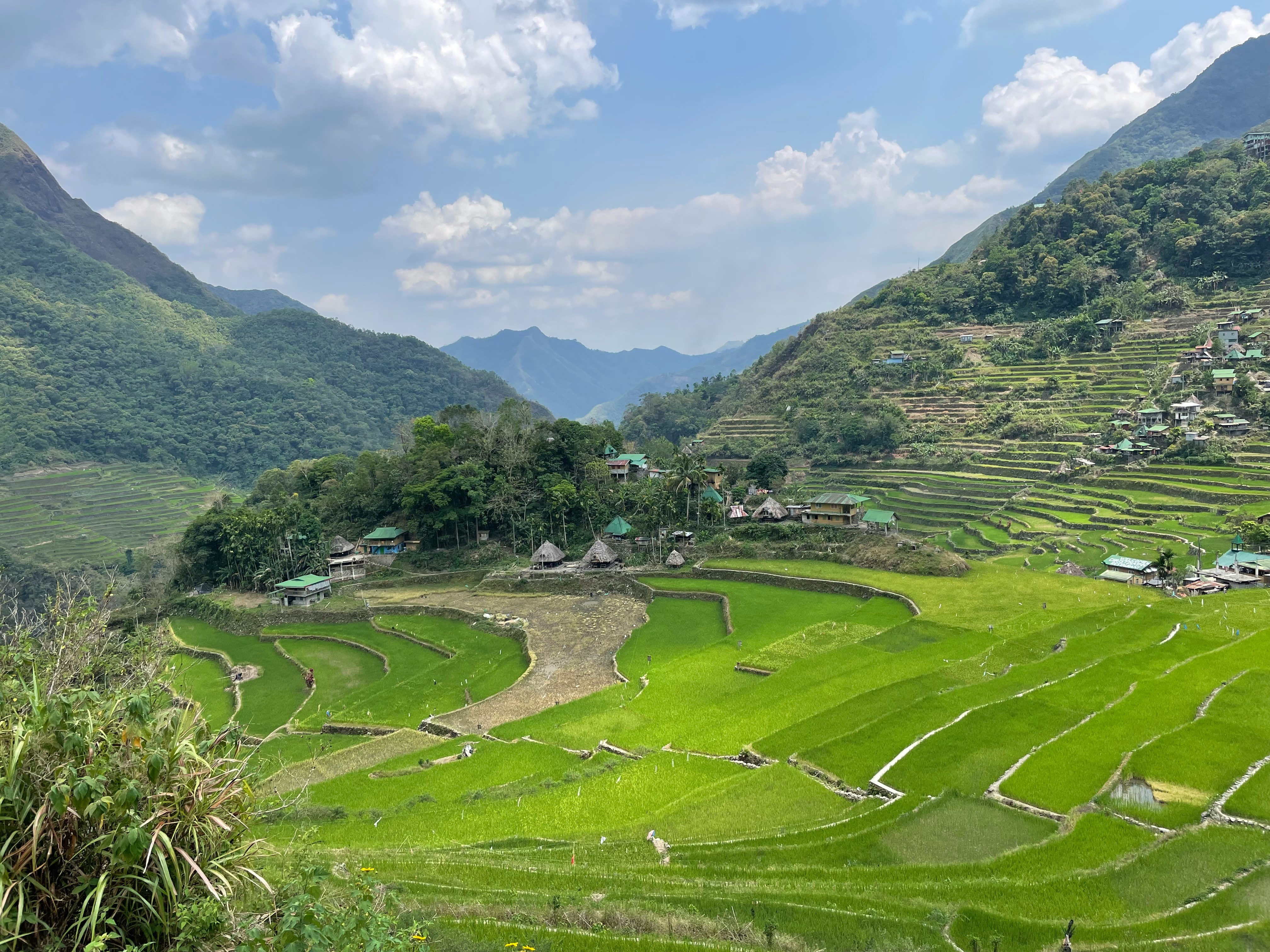 Panoramic view of the Banaue Rice Terraces in Ifugao, Philippines, showing lush green terraces and traditional huts surrounded by mountain ranges.