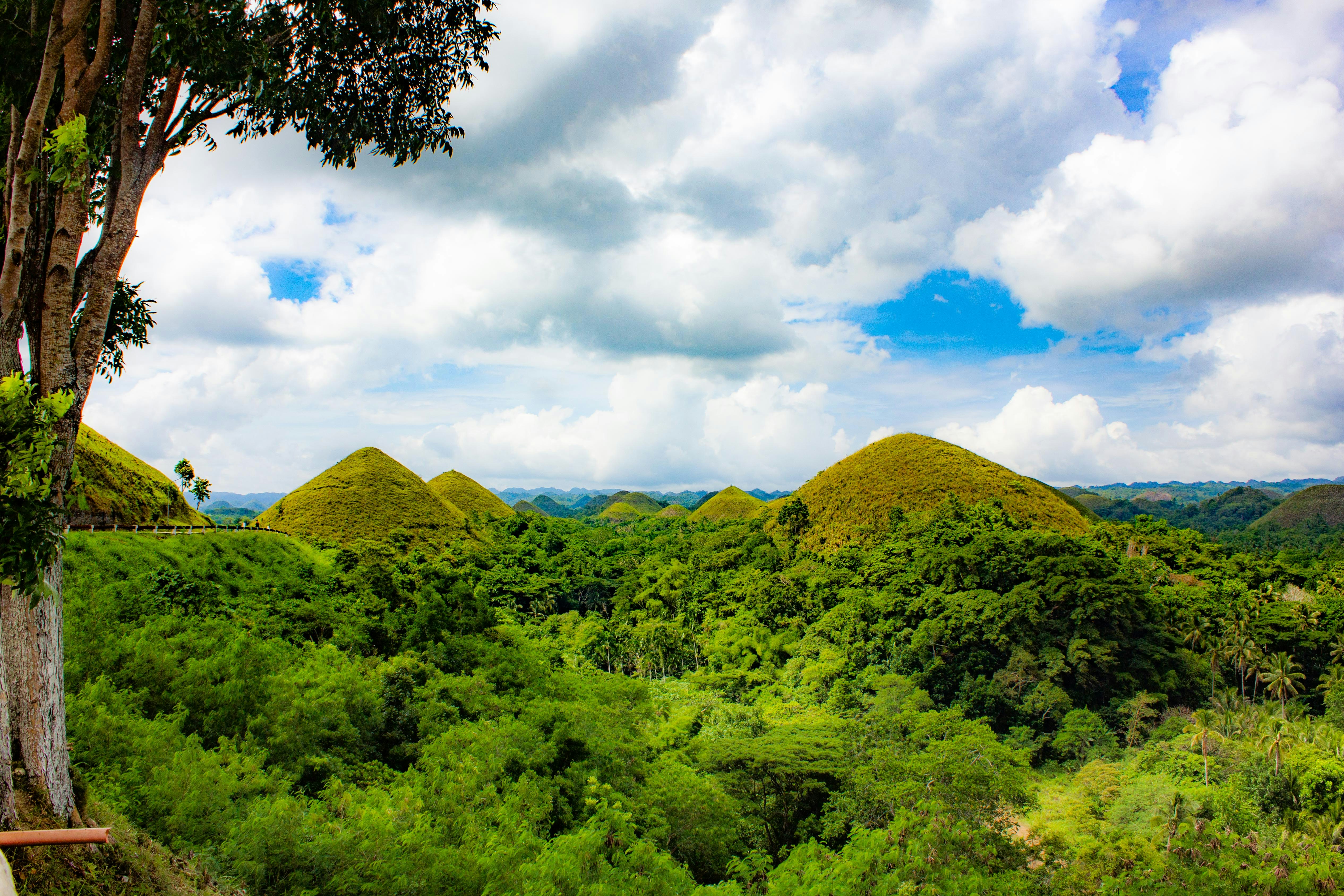 Panoramic view of the Chocolate Hills in Bohol, Philippines, showing lush green mounds and tropical forest under a bright blue sky.