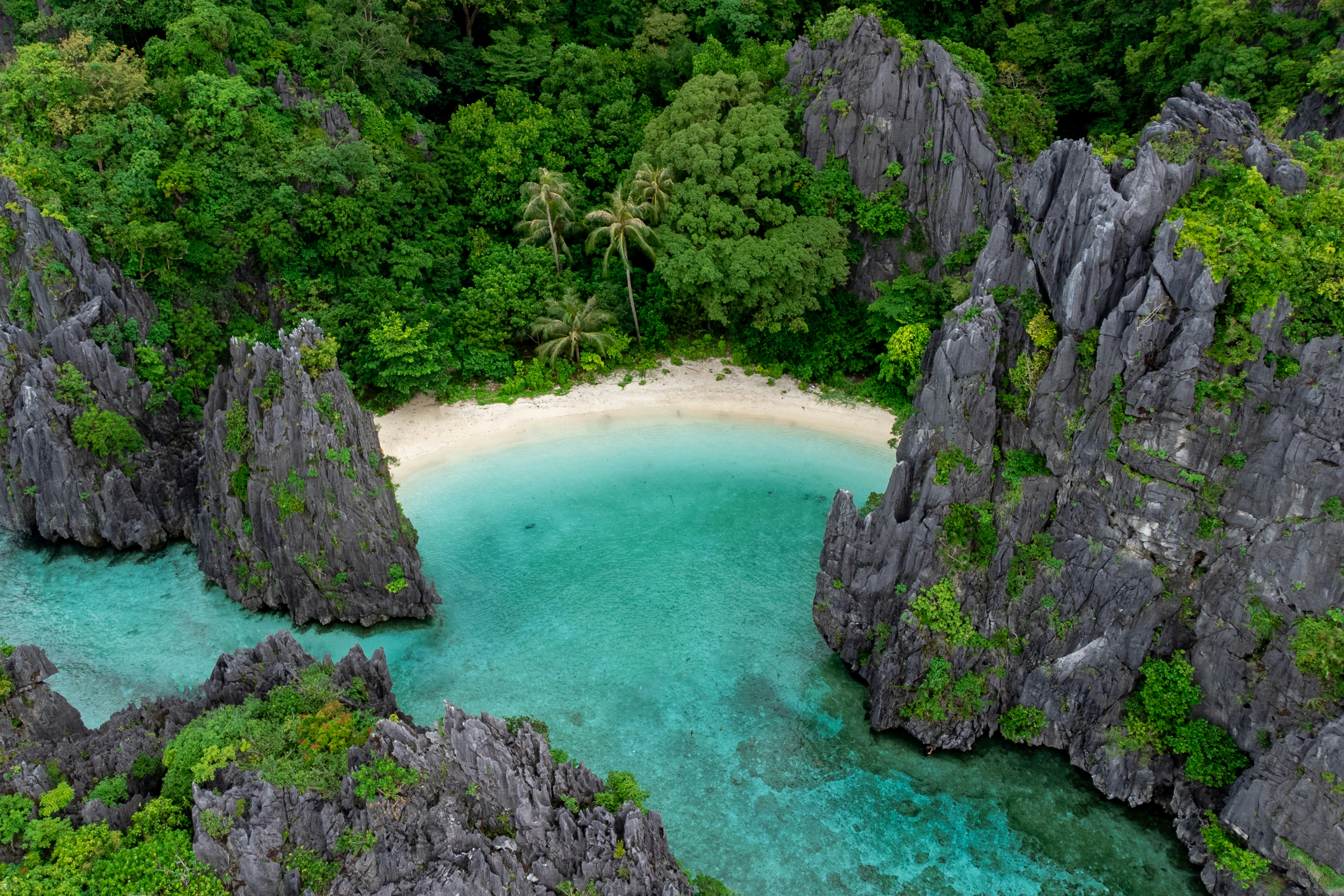 Aerial view of El Nido’s Big Lagoon in Palawan, featuring turquoise waters, limestone cliffs, and a secluded white sand beach — a signature sight from the island-hopping tours.