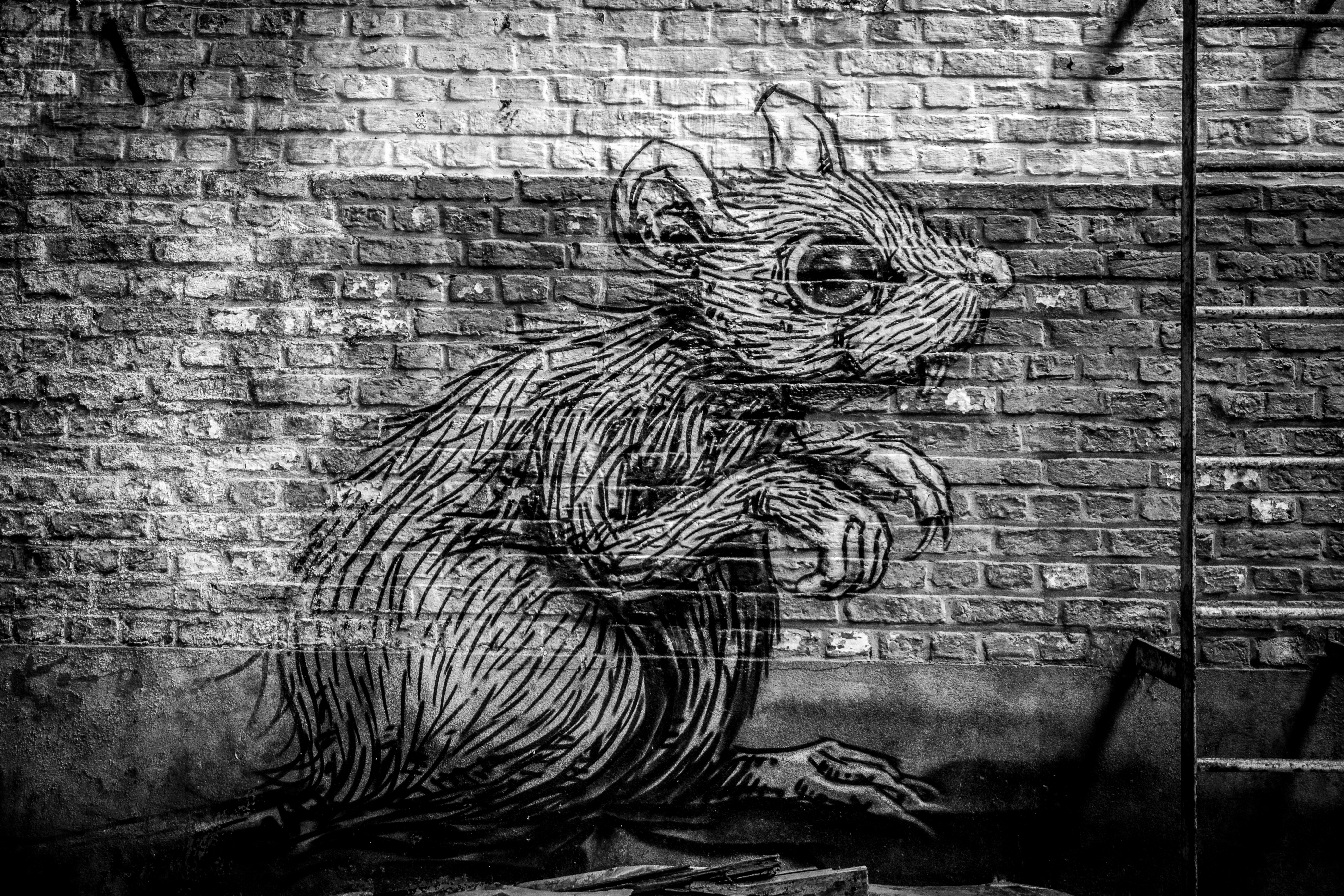 Black-and-white graffiti art of a rat painted on a brick wall, symbolizing the 'Rat People' movement in China where disillusioned youth reject societal expectations and economic pressures.