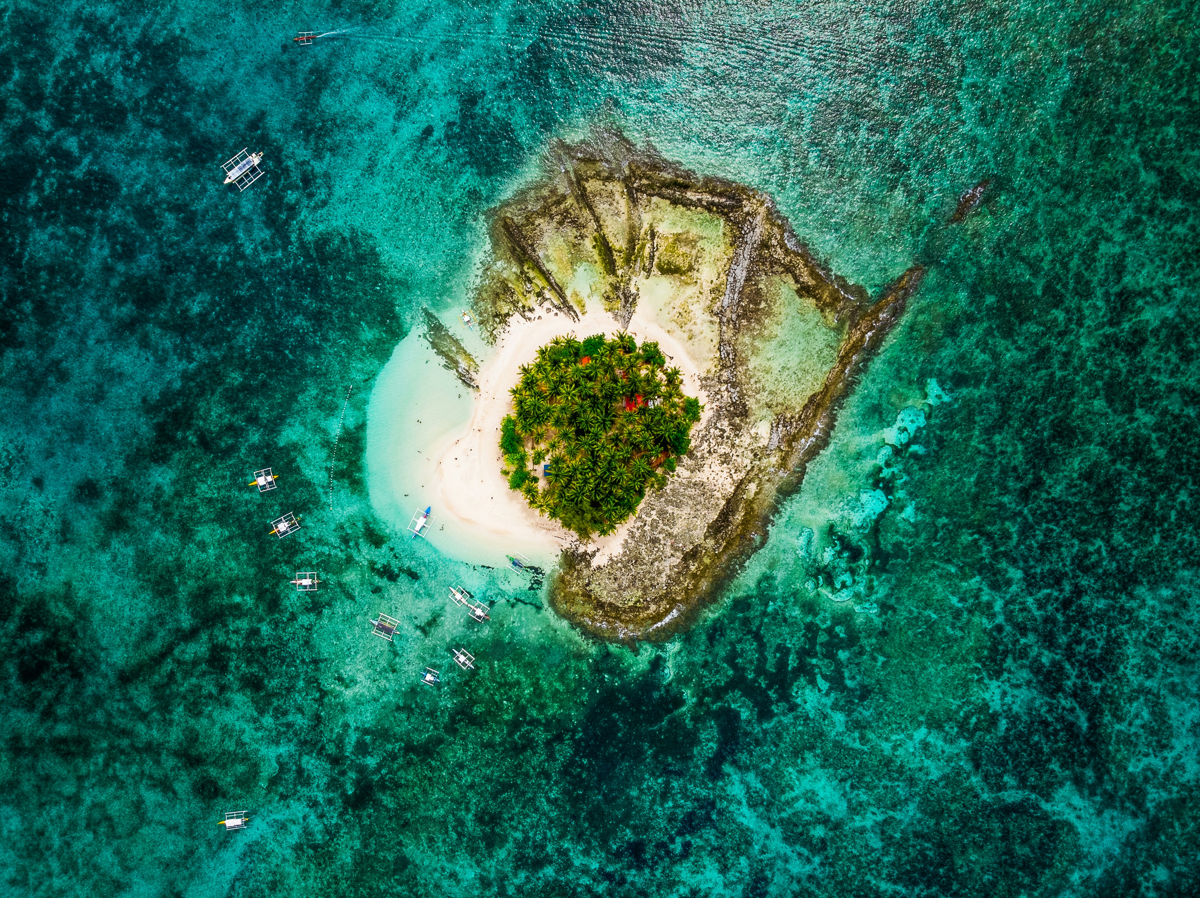 A winding coastal road surrounded by palm trees and morning mist in Siargao Island, Philippines — a serene tropical landscape known for surfing and island-hopping.